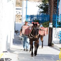 IMG_8799.jpg
