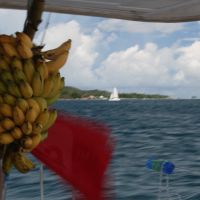 Seychellen-Konti-3419.jpg