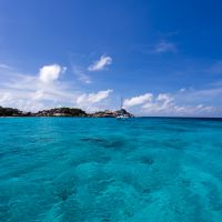 IMG_7826.jpg