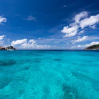 IMG_7834.jpg